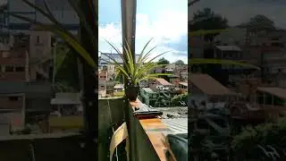 XIAOMI POCO X3 NFC , SLOW MOTION 960 FPS .........ALL CAMERA .......