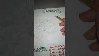 Коротко о Greenway, цель квалификация Лидера в мае