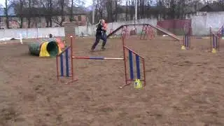 шеба
