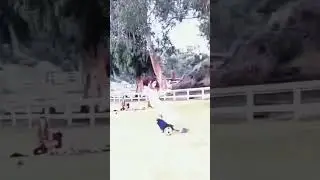 next ramos
