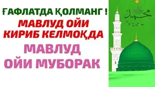 МАВЛУД ОЙИ , МАВЛУД ОЙИДА НИМАЛАР ҚИЛИШ КЕРАК?