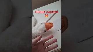 #тренды #р_е_к_о_м_е_н_д_а_ц_и_и_