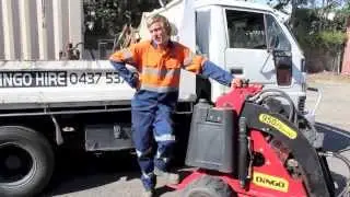 David Roy Dingo Contractor - Brisbane