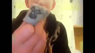 Cody Rhodes Unboxing