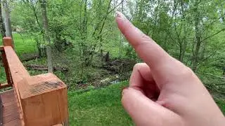 OUTDOOR ASMR | CABIN NATURE SOUNDS