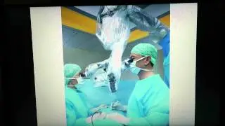 Lumbar Discectomy