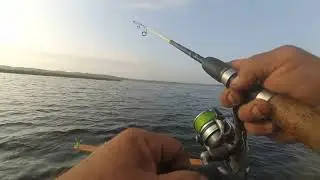 Спининг Salmo Tioga с катушкой Shimano Ultegra 2500 FB