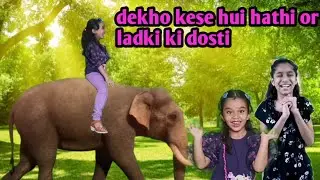 Short story for kids |short stories | janvi or hathi ki dosti