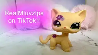 I'M BACK!! and I made a tiktok!