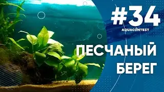 Песчаный берег 