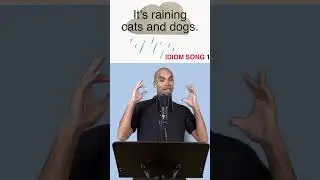 Idiom song 1 -Raining cats and dogs
