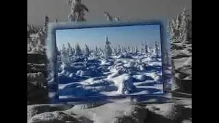 Тайга-Е. Ваенга