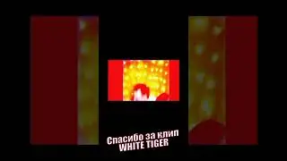 Зарядка стримера 