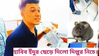 দিল্লুর ভাই এর রিঅ্যাকশন ভিডিও।