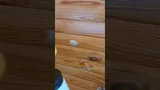 Как быстро нанести грунтовку