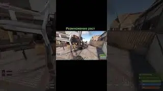 #раст #rust #мем