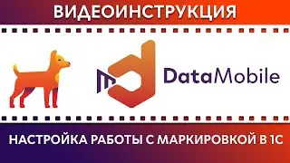 DataMobile: Урок №17. Настройка работы с маркировкой в 1С
