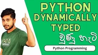 11. Python Dynamically Typed Language එකක් වෙන හැටි | Python Programming