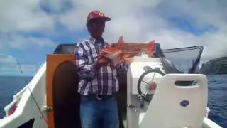 jigging madeira