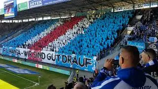 Hansa Rostock - Halle