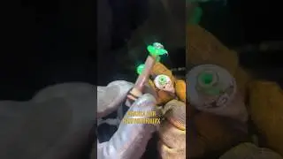 Обязательное условие при ремонте тормозов. Направляющая, тормозной суппорт смазка, равномерный износ