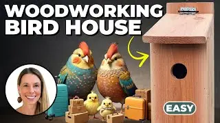 Build Your First Birdhouse: A Beginner-Friendly Woodworking Project