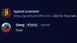 i trolled hypixel scammers