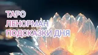 ПОДСКАЗКИ ТАРО ,И ЛЕНОРМАН НА 🌿 31 МАЯ 🌿 24 ГОД 🌿