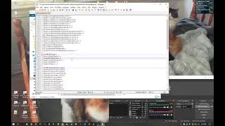 SCUM - How to Customize Some Game World Settings to Your Liking
