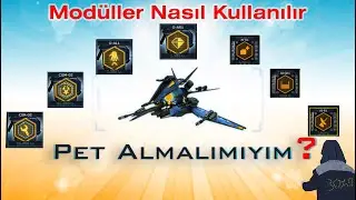 Darkorbit Pet Hakkında Tüm Bilgiler (Rehber Serisi #4)