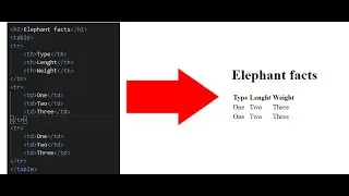 Learn HTML| Tables in HTML