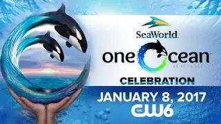 SeaWorld's 'One Ocean' Celebration