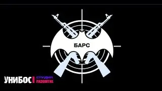 Боевая Армейская Система (БАрС)