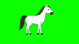 Horse green screen no copyright free video/Horse green screen video