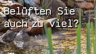Sauerstoff & Sauerstoffübersättigung im Teich Blog 40