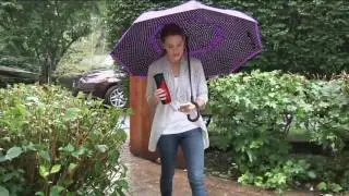 Up Brella