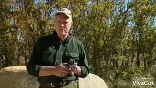 Using the STOP method in times of panic.