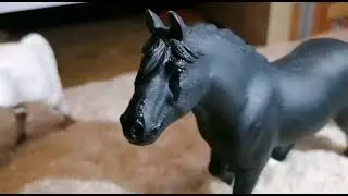 Another Love❤️(Tom Adell) | Schleich Musikvideo