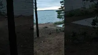 17 июля 2024 г.