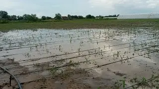 Дождь Ливень Херсонская Область