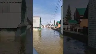 Овчинка.Оренбург#shorts#паводок#паводки#бедствие#потоп#наводнение#наводнения#оренбург#урал#река