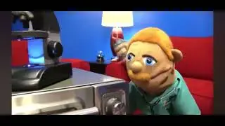 Chef pp 2 non biological sons
