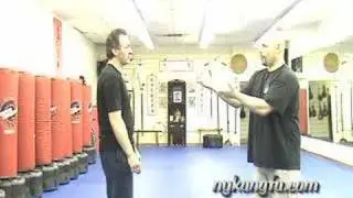 Lama Pai and Hop Gar Kung-Fu Influencing Other Styles Part 1