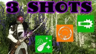 3 SHOTS - MUSKET - NEW WORLD