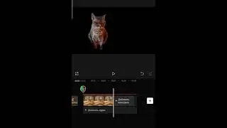 Тутор на видео с котиками🐱