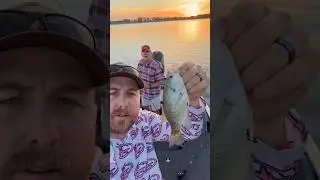 He was SPEECHLESS 😶!! #shorts