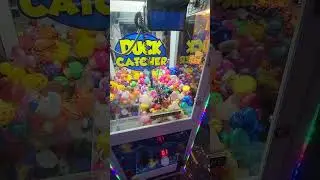 rubber duck claw machine