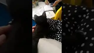 Пиши пантера!