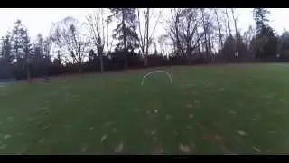 90 seconds of gate practice, SRD250, betaflight, FPV racing drone