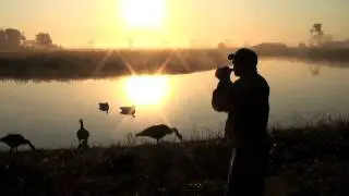 Goose Hunting over Water